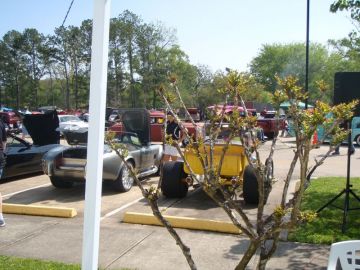 2010 Spring Car Show